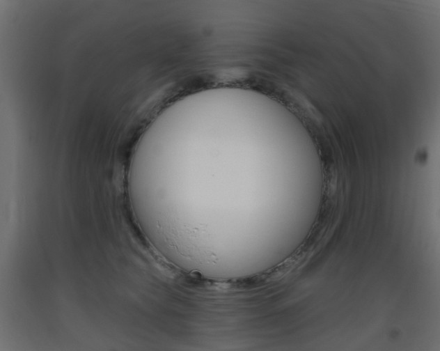 X0000093400565200710120858