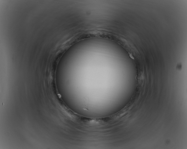 X0000093400566200710120858