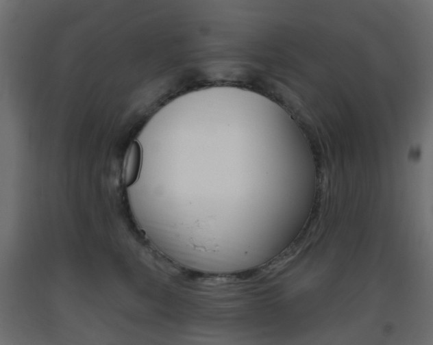 X0000093400567200710120858