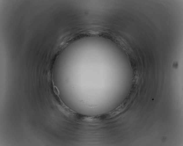 X0000093400568200710120858