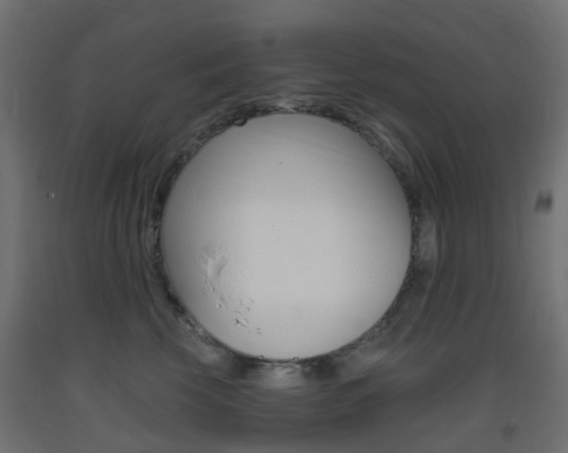X0000093400569200710120858