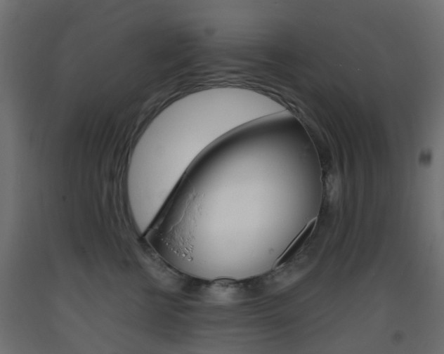 X0000093400570200710120858