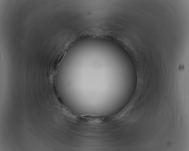 X0000093400576200710120858