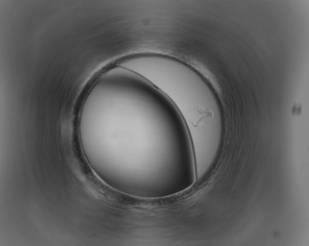 X0000093400580200710120858