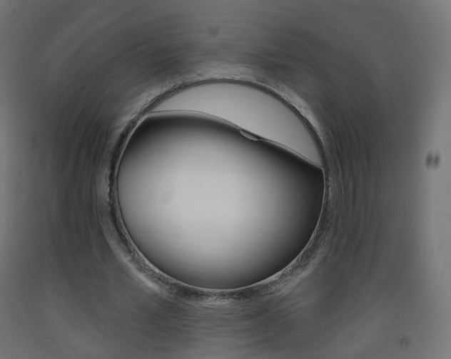 X0000093400581200710120858