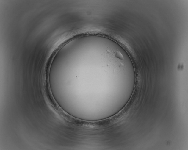 X0000093400582200710120858