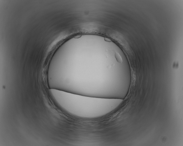 X0000093400583200710120857