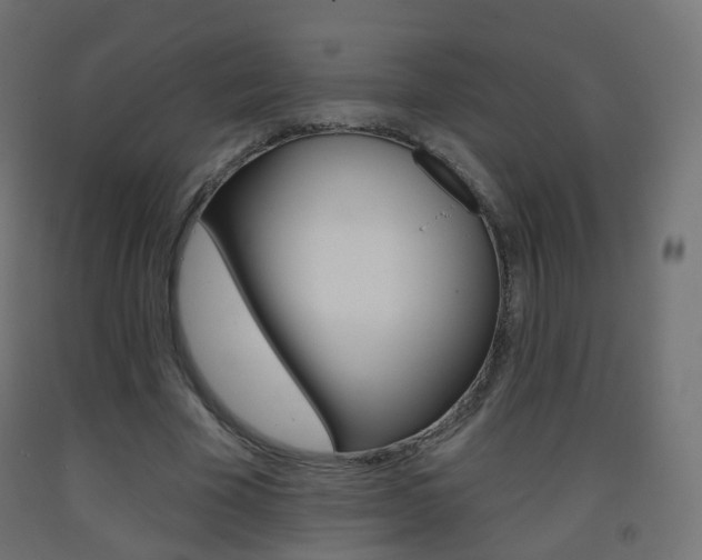 X0000093400585200710120857