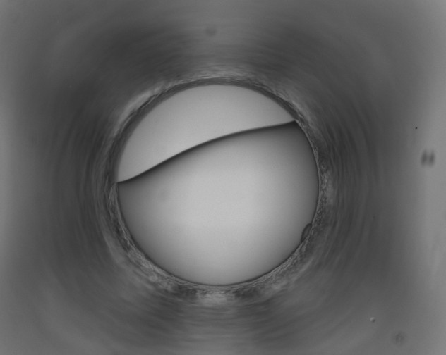 X0000093400587200710120857