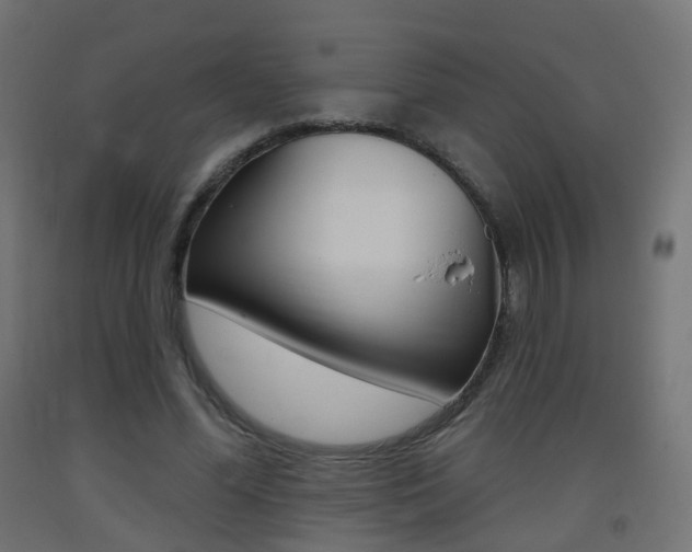 X0000093400588200710120857