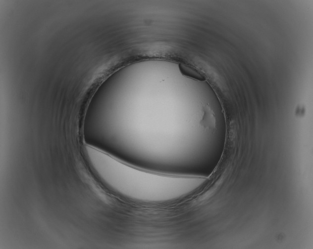 X0000093400589200710120857