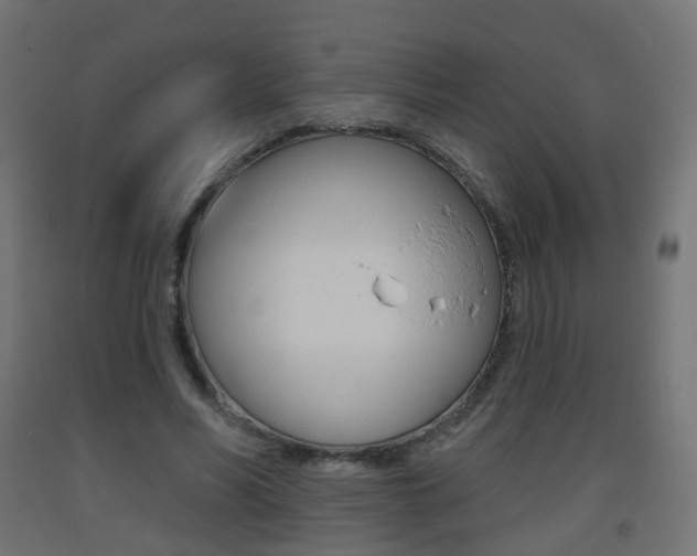 X0000093400590200710120857