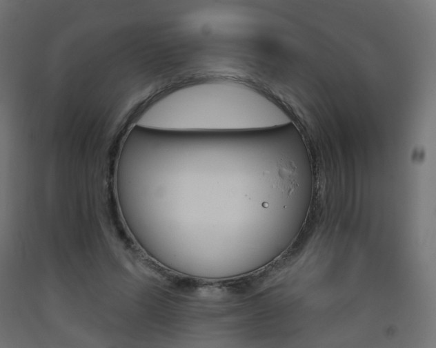 X0000093400591200710120857