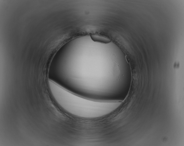 X0000093400593200710120857