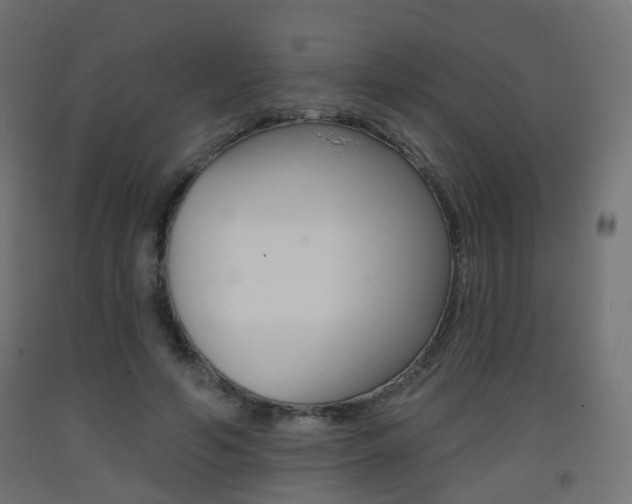 X0000093400594200710120857