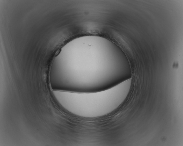 X0000093400595200710120857
