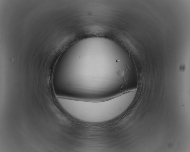 X0000093400597200710120857