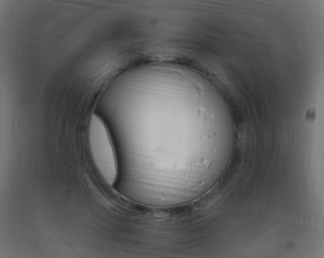 X0000093400598200710120857