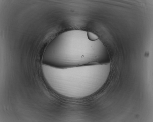 X0000093400599200710120857