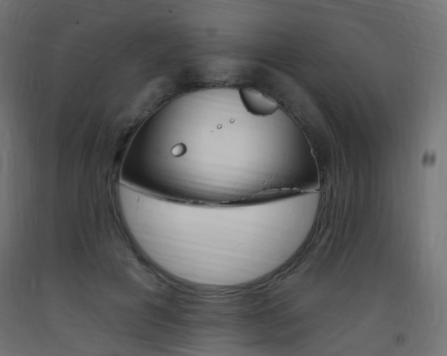X0000093400601200710120857