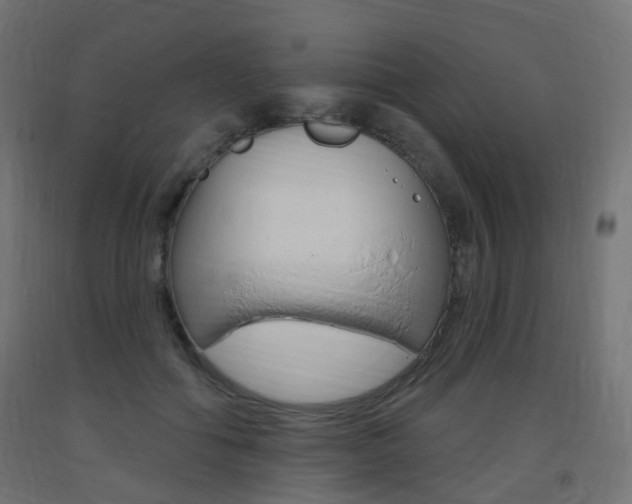 X0000093400602200710120857
