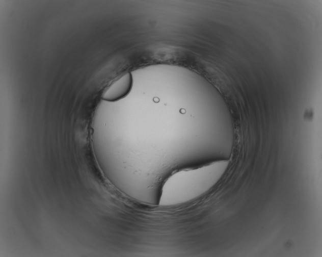 X0000093400606200710120857
