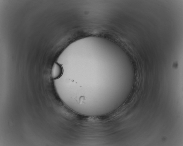 X0000093400612200710120857