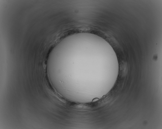 X0000093400614200710120857
