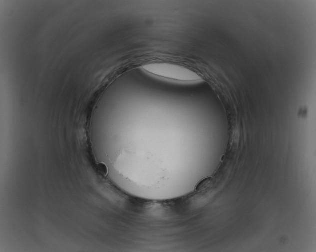 X0000093400616200710120857