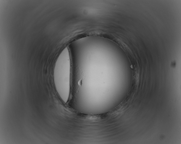 X0000093400619200710120857