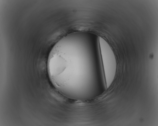X0000093400620200710120857