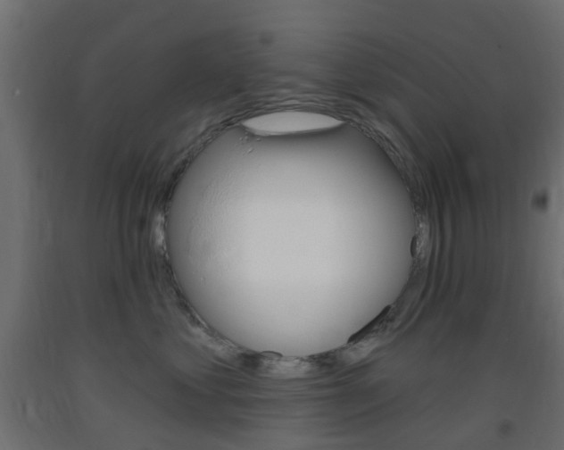 X0000093400621200710120857
