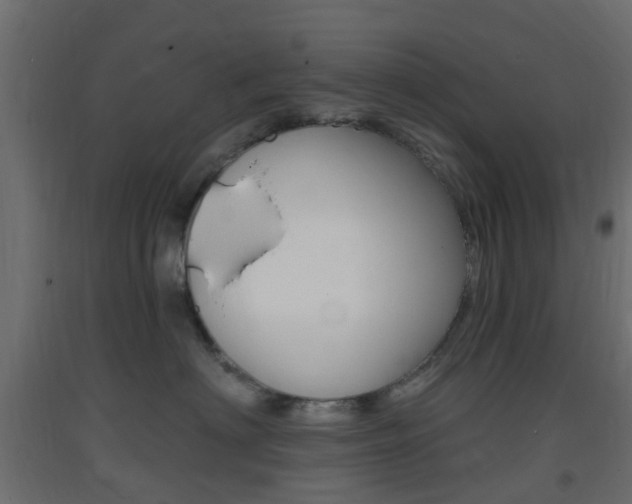 X0000093400622200710120857
