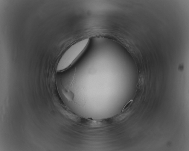 X0000093400623200710120857