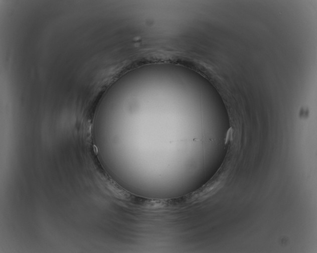 X0000093400624200710120857