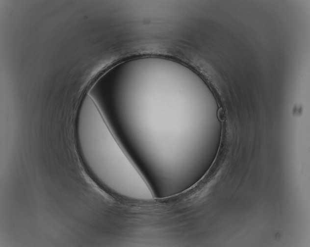 X0000093400625200710120856