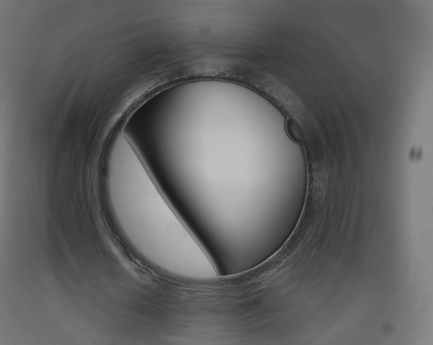 X0000093400626200710120856
