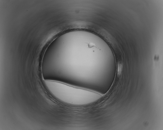 X0000093400627200710120856