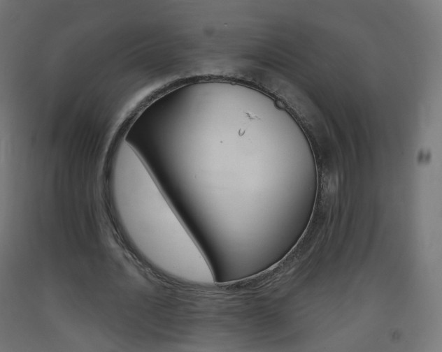 X0000093400628200710120856