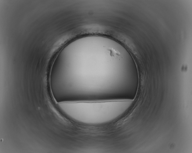 X0000093400629200710120856