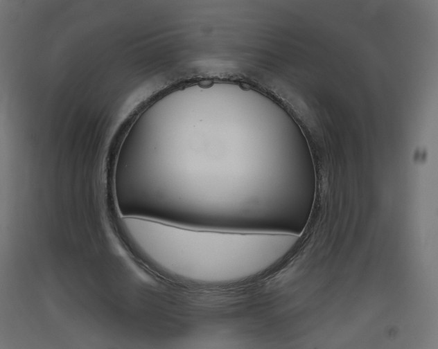 X0000093400630200710120856