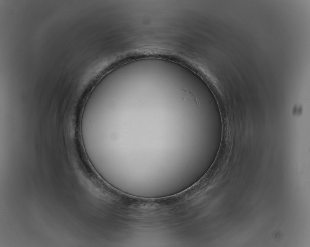 X0000093400631200710120856