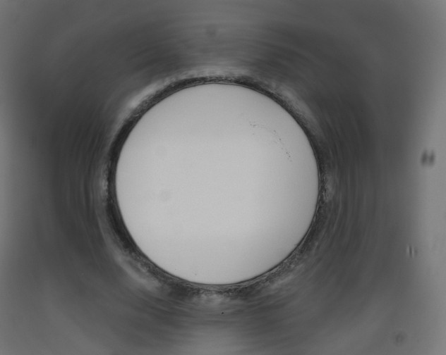 X0000093400632200710120856