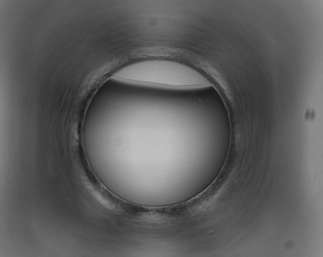X0000093400633200710120856