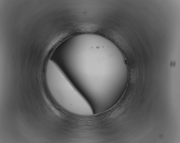 X0000093400634200710120857