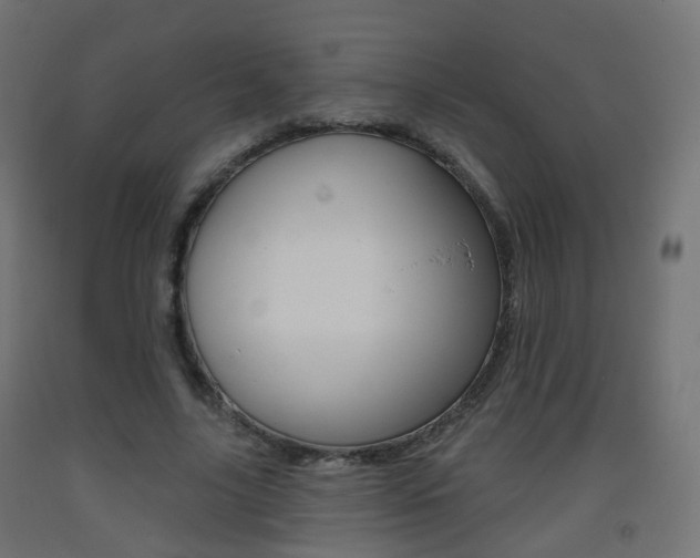 X0000093400635200710120857