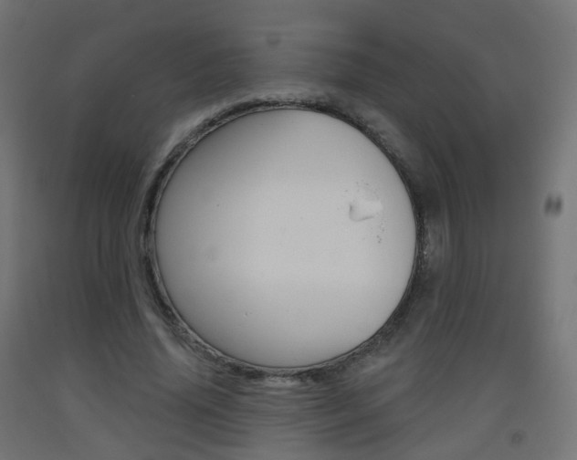 X0000093400636200710120857