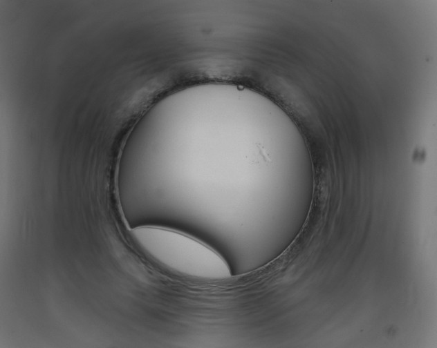 X0000093400639200710120857