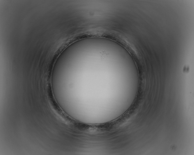 X0000093400641200710120857