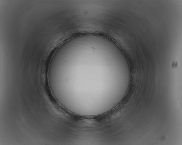 X0000093400642200710120857
